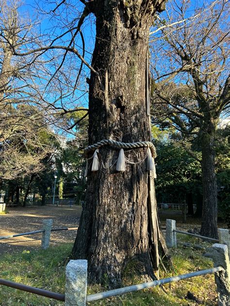 壬騎竜脊格|「喜忌篇」新解 － hiroto流解釈